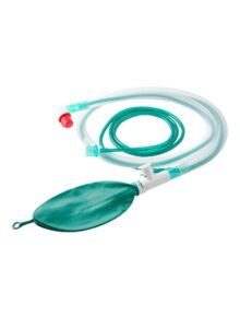 BAIN CIRCUIT      ADULT