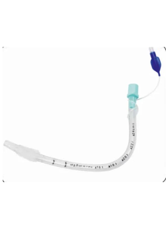 Untitled design - 2025-12-25T101539.199 Untitled design - 2025-12-25T101539.199