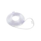 Untitled design - 2025-12-29T103351.924