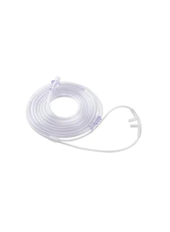 Untitled design - 2025-12-29T103351.924 Untitled design - 2025-12-29T103351.924